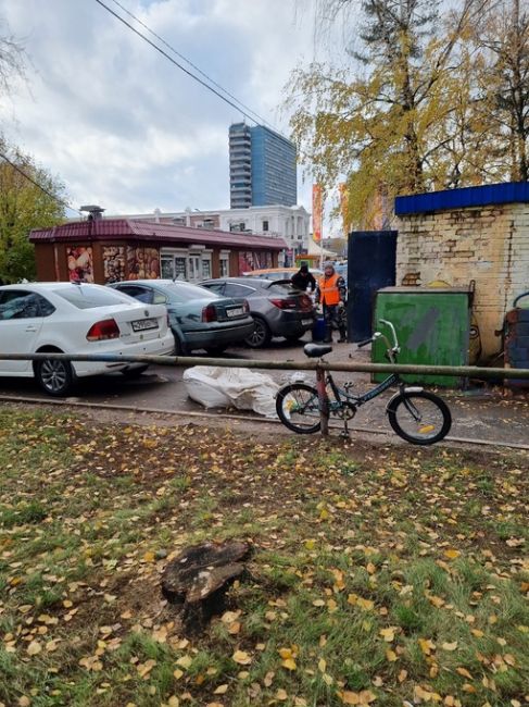 В Одинцово вернулась майская погода 🌥️  Минувшей ночью на базовой столичной метеостанции столбики..