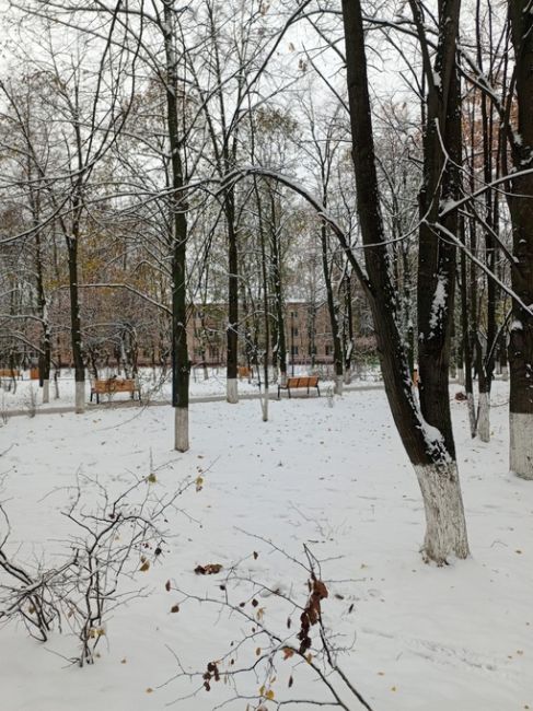 ПРОШЛА ПО ГОРОДУ И УЖАСНУЛАСЬ 🤦🏼‍♀️
📸 Анастасия
Колхозная, Советская - вечные лужи, неудобные тротуары..