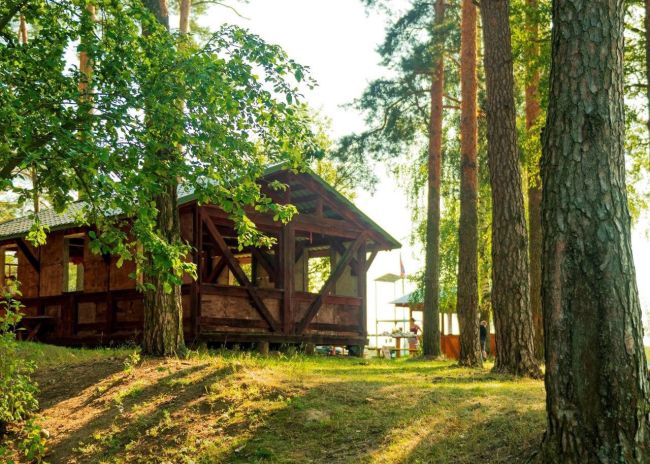 🏆️ Ногинское лесничество стало призером смотра-конкурса «Лучшее благоустроенное место отдыха».  В этом..