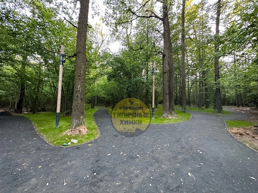 Были в Химкинском лесу? Там завершился первый этап благоустройства 🌳  Проложили более 4 км дорожек,..