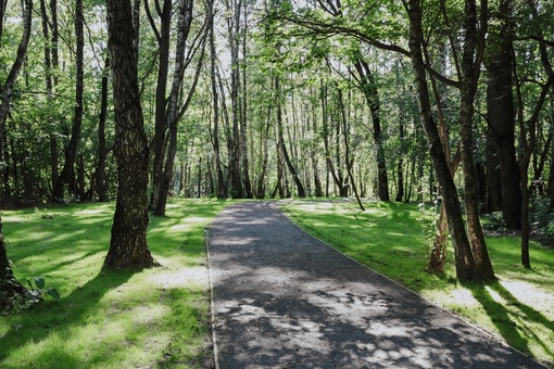 Были в Химкинском лесу? Там завершился первый этап благоустройства 🌳  Проложили более 4 км дорожек,..