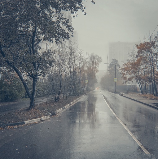 Красивое туманное утро 🥰🌫
📸 [id16670825|Антон..