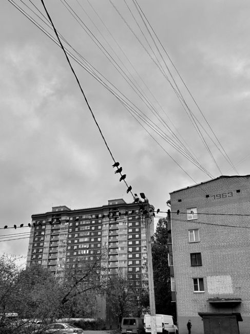 Всем утра доброго, несмотря на хмурую погоду ☁️
Дождливая холодная осень пришла уже до зимы, потепления в..