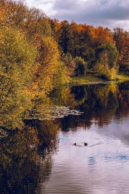 Осень в Измайлово  Фото Евгения..