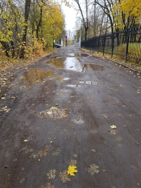 Здравствуйте.Хорошо конечно когда дороги к Храмам строят,но нельзя ли не забывать про юных спортсменов..