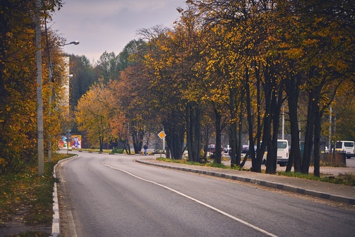 Уходящие краски осени 
📸Виктор..