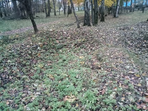 Именно в этих ямах стояла зенитная артиллерия в обороне М.А.Ш. завода. Если хотите : сами убедитесь что эти ямы..