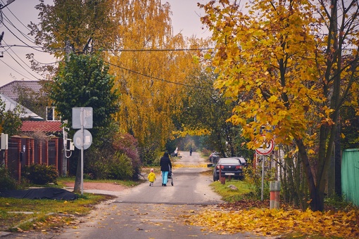 Уходящие краски осени 
📸Виктор..