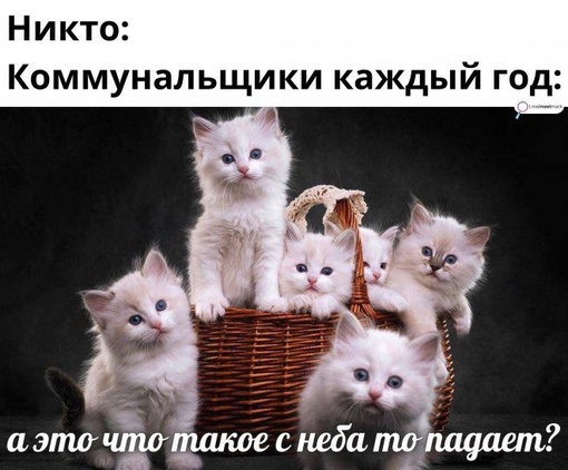 😃 Ситуация в каждом..