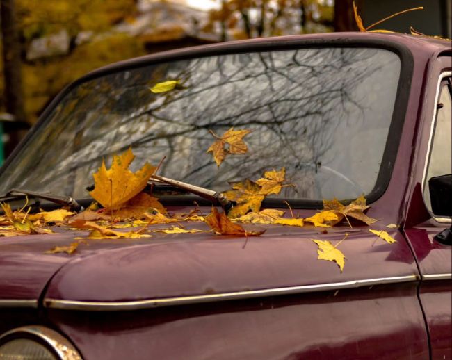 Доброе утро🚗🍂 Какие планы на..