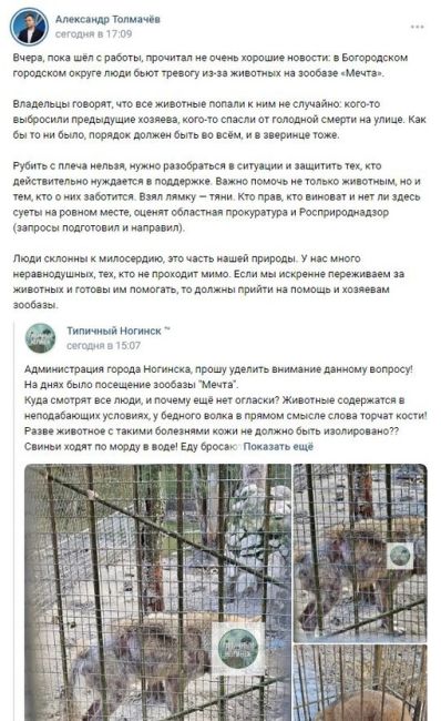 Александр Толмачев вмешался в ситуацию с жестоким обращением с животными на зообазе в Ногинске 
Ранее о..