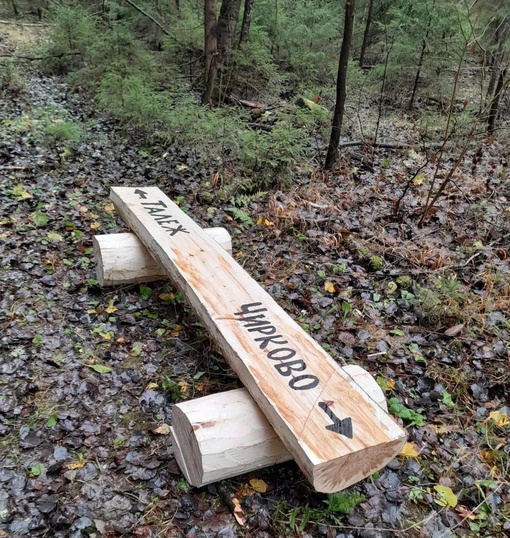 🌲🌲 В лесах под Коломной и Озерами появилось 13 новых лавочек-навигаторов. Их установили лесничие..