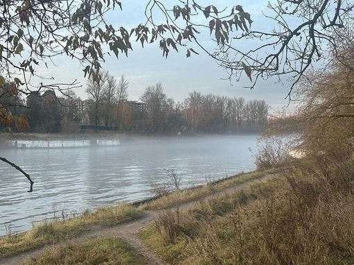 Осень 2023 в Долгопрудном 🍂..