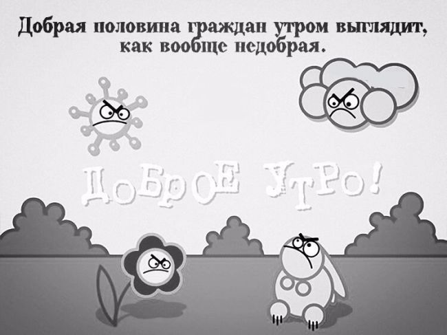 Доброе утро! С понедельником всех..