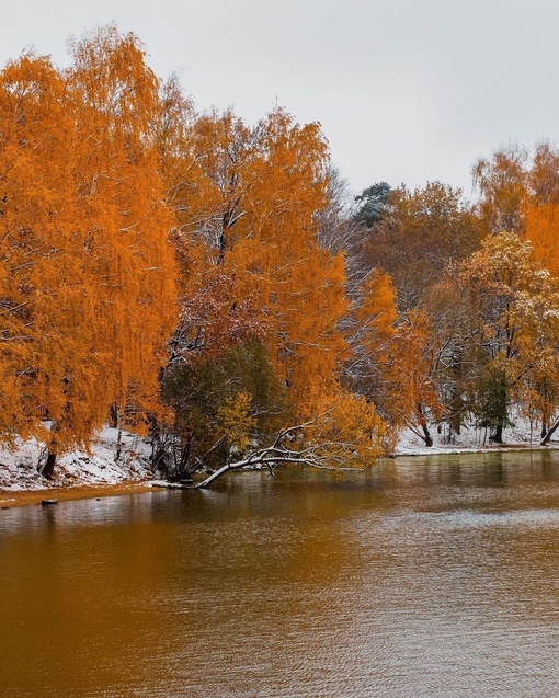 В Химках наступила метеорологическая зима ❄️  Произошёл устойчивый переход среднесуточной температуры..