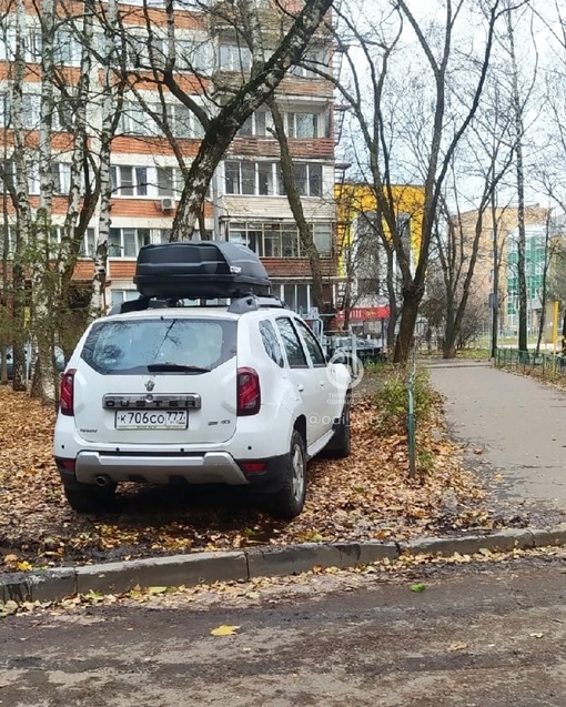 На Маршала Бирюзова проявился новый садовник..