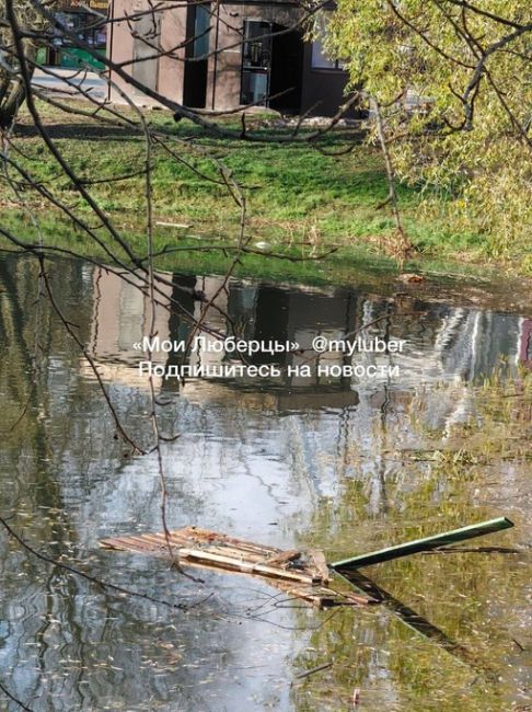 Брошенное благоустройство Наташинского..