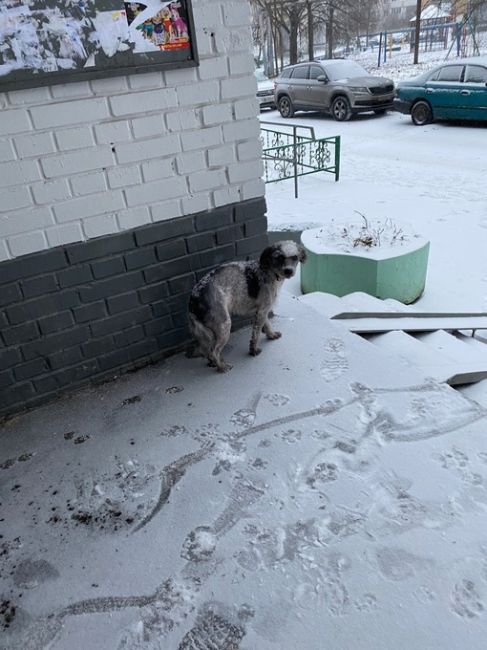 В парке Малевича появится всесезонная тюбинговая горка с траволатором за 82 миллиона рублей..