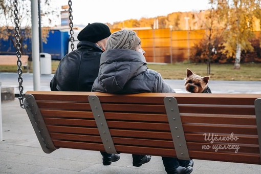 В следующем году будем гулять по современному скверу🌳  Уже в сквере вдоль Пролетарского проспекта созданы..