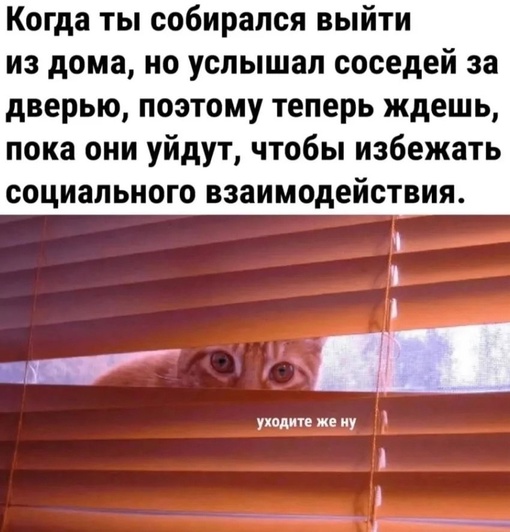 Кому знакомо?..