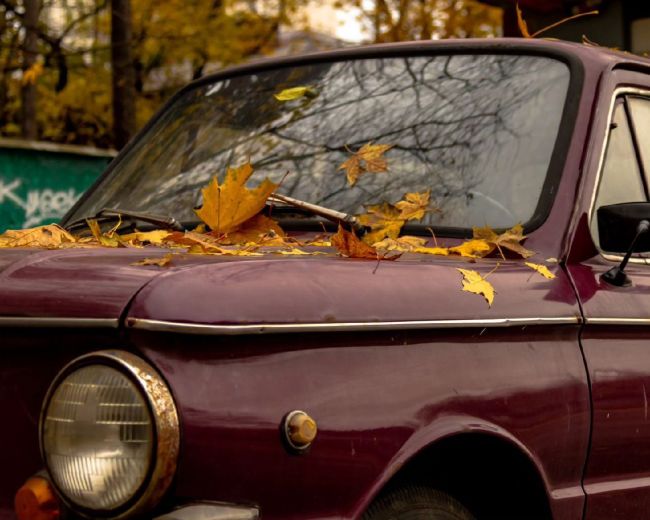 Доброе утро🚗🍂 Какие планы на..