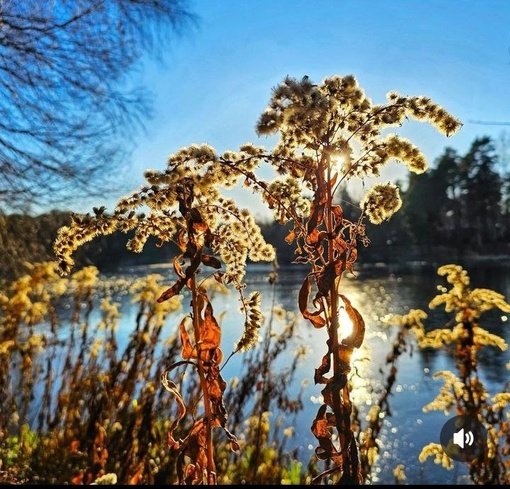 Зима на Кратовском озере
#Кратово  Спасибо за фото..