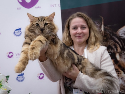 Уникальное событие в Москве! «Коралловое Шоу Кошек»! Приходите 18-19 ноября 2023г. в Торговый Центр «РМ», рядом с..