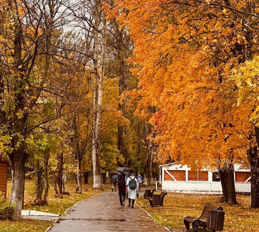 Доброе утро..