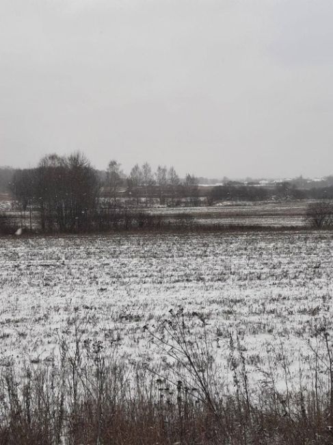 ❄Заснеженные пейзажи. Совсем скоро все будет белое 😶‍🌫 
📍Березовый..