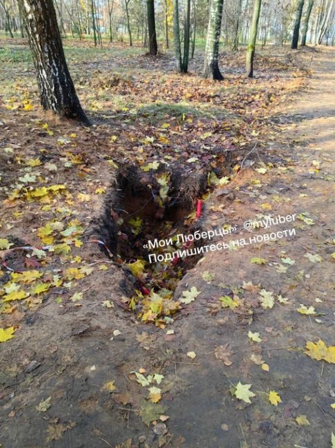 Брошенное благоустройство Наташинского..