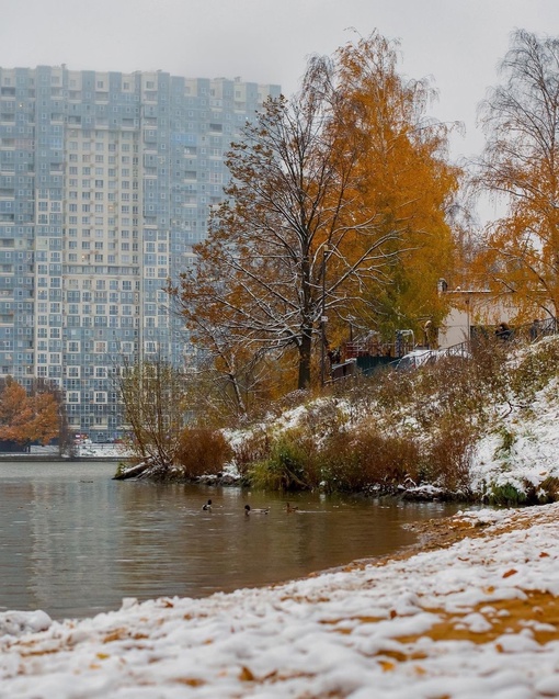 В Химках наступила метеорологическая зима ❄️  Произошёл устойчивый переход среднесуточной температуры..