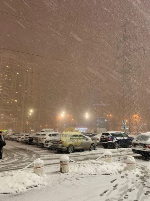 Волна мощных снегопадов накроет Подмосковье на следующей неделе 🥶  В последнюю неделю ноября по территории..