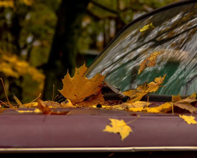 Доброе утро🚗🍂 Какие планы на..