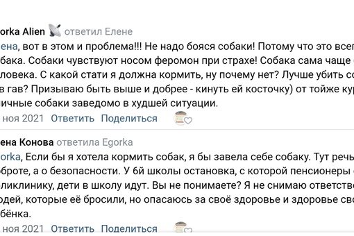 Бездомная собака укусила жуковчанку  Пишет наша подписчица:
Собаки гуляют дворовые без бирок на ушах в..