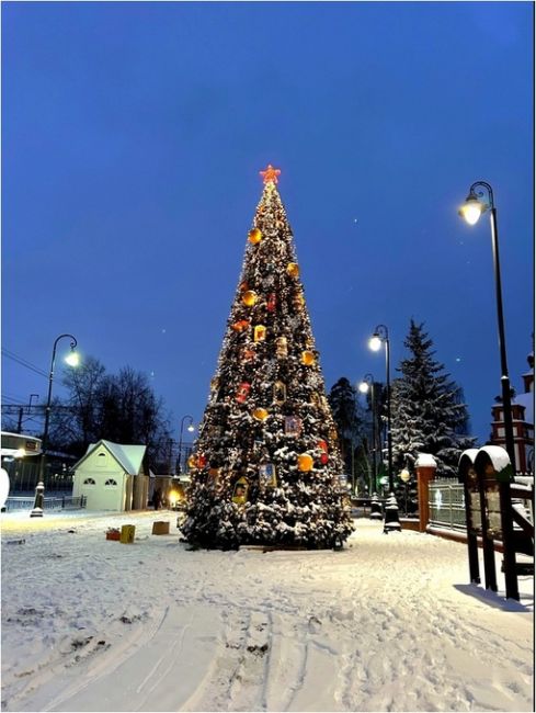 Одна из лучших новогодних елок в Раменском районе 🎄
поселок ИЛЬИНСКИЙ
Фото..