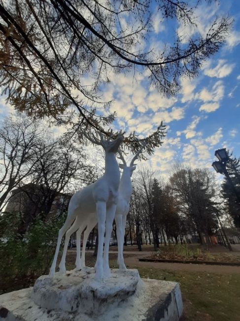 СЕГОДНЯ ХОРОШИЙ ДЕНЬ ❤️
Фото Надежда..