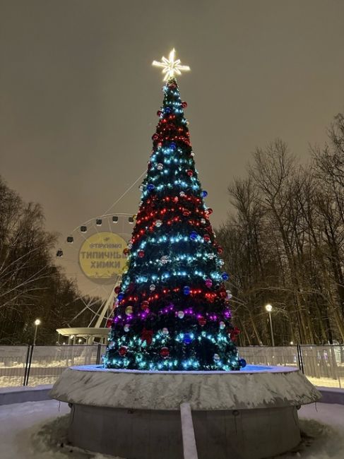 И в парке Толстого теперь тоже по-новогоднему..