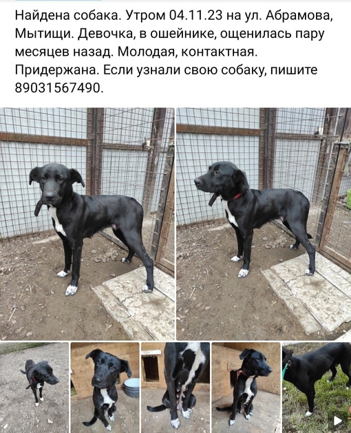 Мытищи Онлайн..