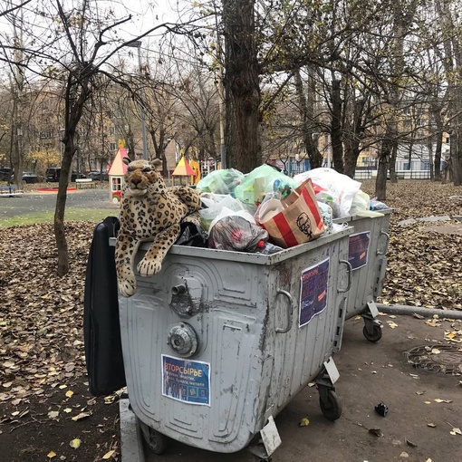 Лишь бы ночью такое не увидеть..