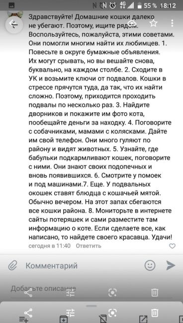 Пропал кот. Возраст 3 года. Сидел постоянно дома. Неожиданно открыл окно 5 этаж кстати и выпрыгнул. Улицу..