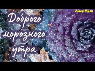 Доброе утро, любимый город!  Погода в Ногинске на 29 ноября:
🌨Пасмурно, небольшой снег
🌡Температура -6°..