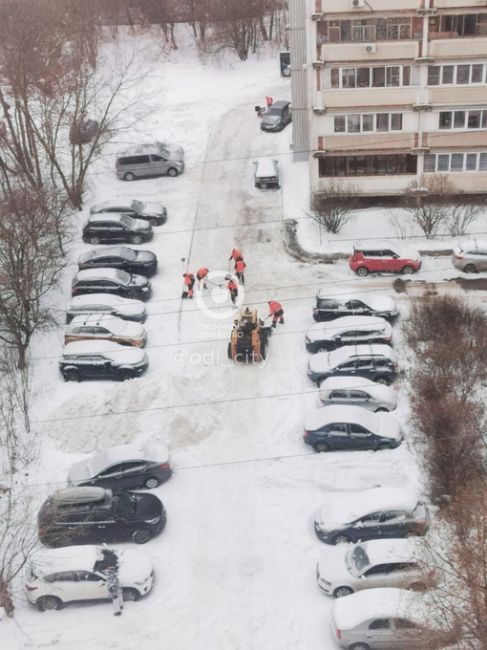 Одинцовцы массово жалуются на коммунальщиков, засыпающих при уборке снегом немногочисленные парковочные..