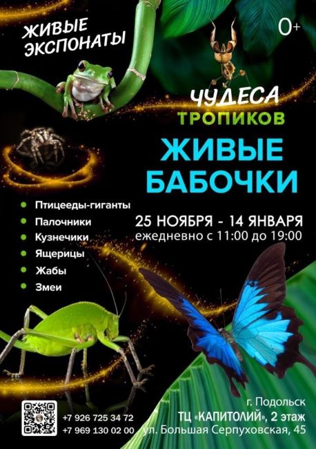 🦋ВЫСТАВКА ЖИВЫХ БАБОЧЕК проводит розыгрыш бесплатных билетов!🦋  🌿 Добрый день, жители г. Подольск...