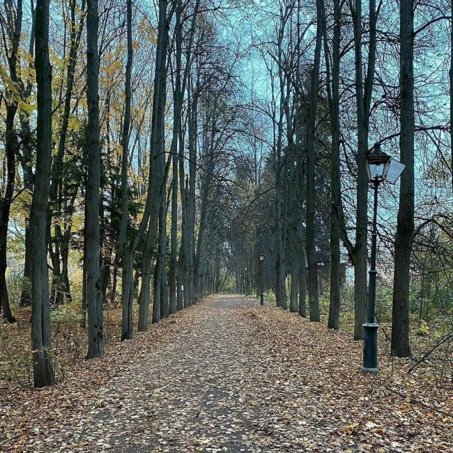 📍Московская обл. Ленинскии‌ р-н., г.Видное. 
Дворянская усадьба Суханово, имение князеи‌ Волконских. 
..