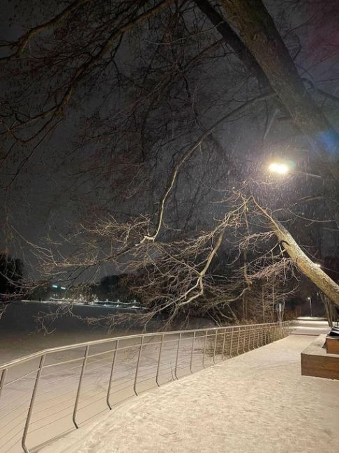 ❄ Выпавший в Балашихе снег не растает до весны, прогнозируют синоптики 
В воскресенье и до вечера..