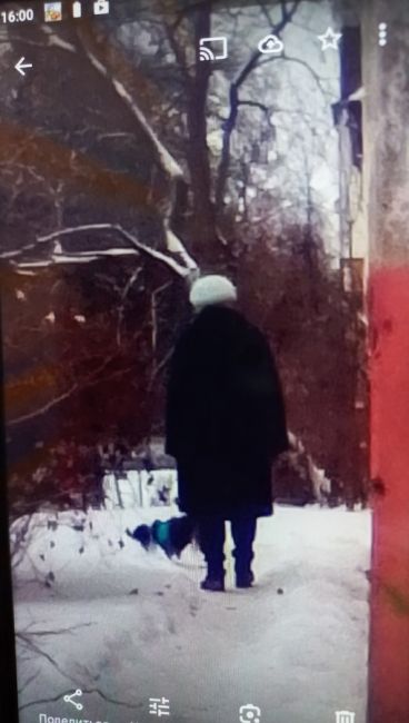 Прошу откликнуться очевидцев, кто видел как сегодня (29.11.23) около 13:30 собака в синем комбинезоне, находясь в..