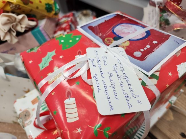 Богородские «волшебники» подарят детям мечту 🎁  В нашем округе уже в десятый раз пройдёт новогодняя..