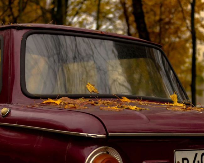 Доброе утро🚗🍂 Какие планы на..