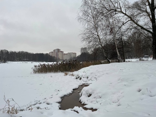 Снежное утро в парке на Заречной ❄️  Хорошего дня, соседи!  К слову, дорожки почистили отлично. Во дворах бы..