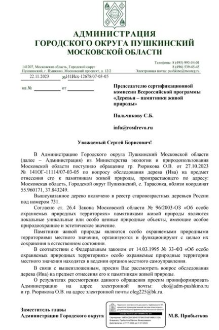 🌳В Пушкинском появится свой памятник живой природы – дерево Ива. Установлен срок обследования🌳  Уф,..